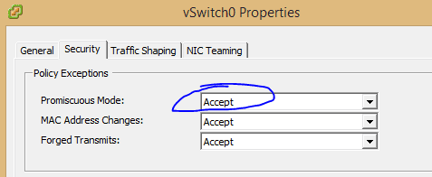 vmware_promiscuous