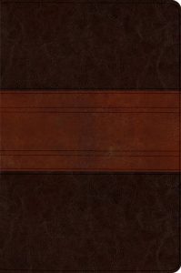 ESV MacArthur Study Bible Personal