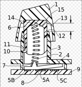 Buckling Spring