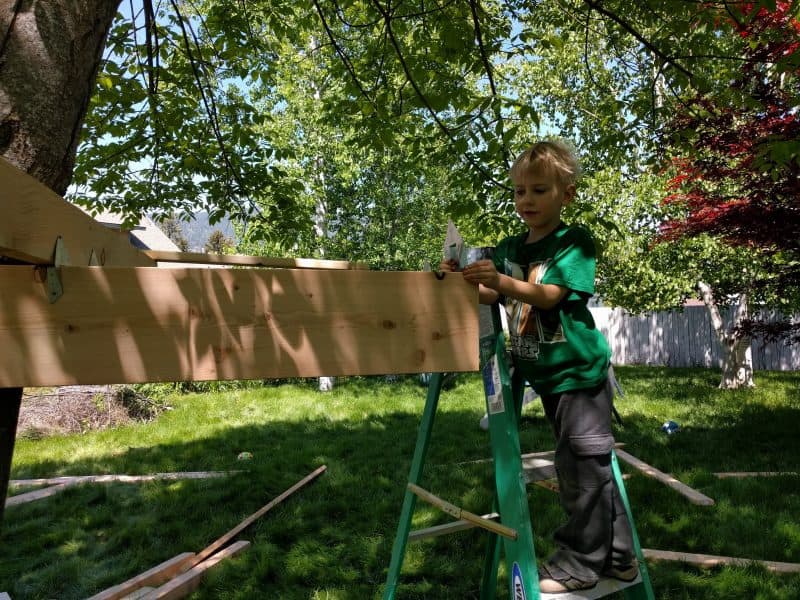 Eli installing Hurricane Tie on 2 by 10 that is attached to tree. On left is a 2 by 6 joist attached to a 2 by 10 using a Hurricane Tie.