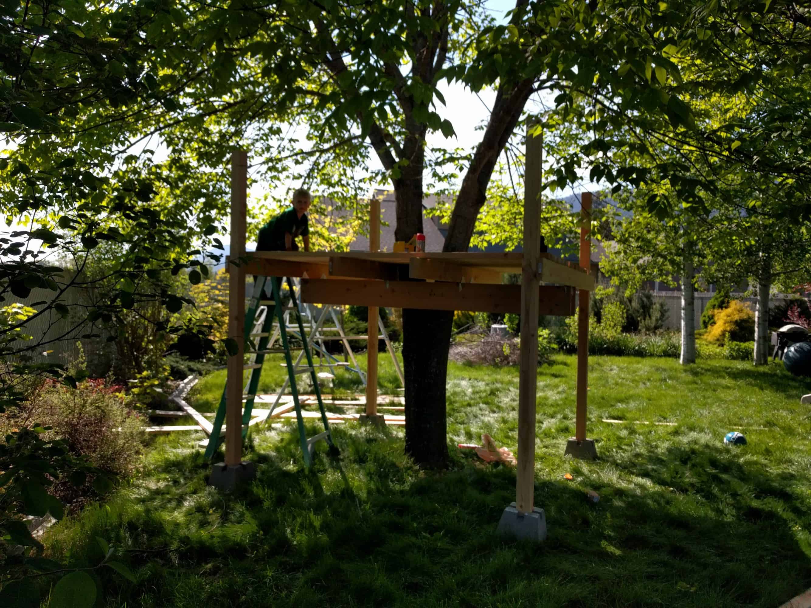 Eli partway on ladder and treehouse surveying floor