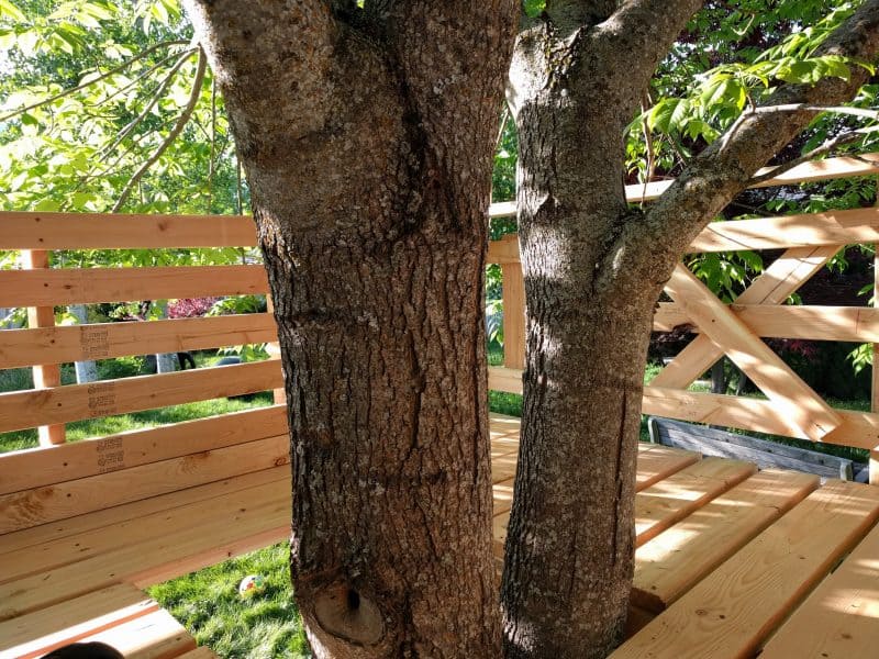 Inside the tree house-- tree trunk coming up in the middle.