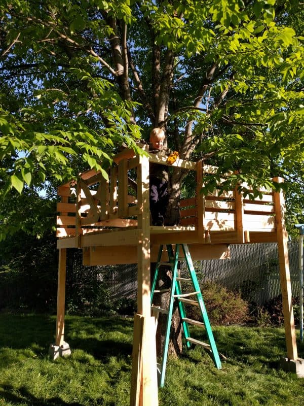 Eli in tree house