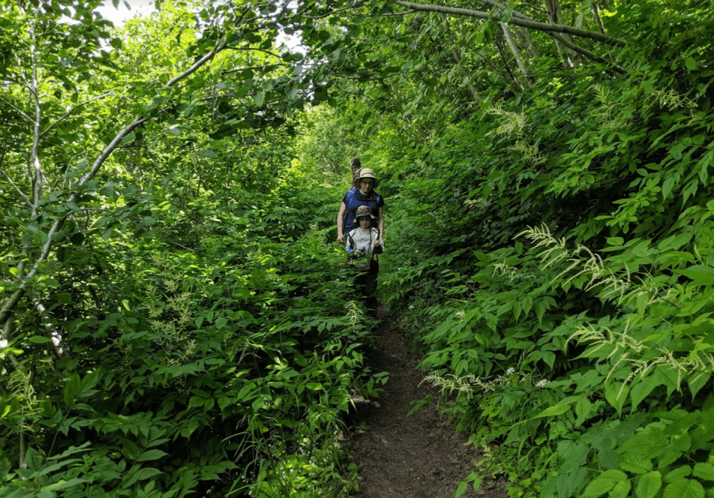 Hike to Spirit Lake