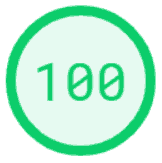 100 PageSpeed Score