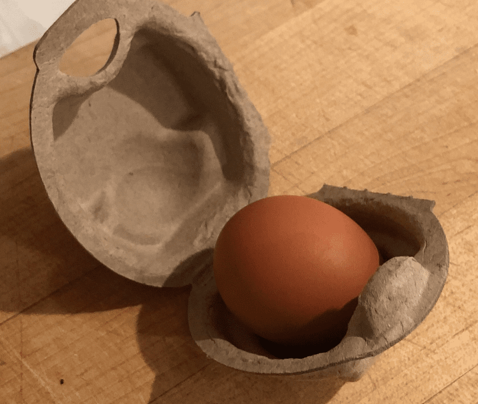 Egg in a single egg carton