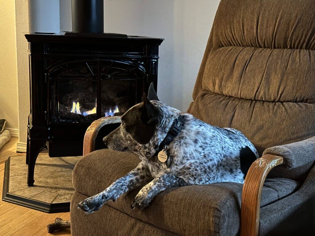 Scout by the fire