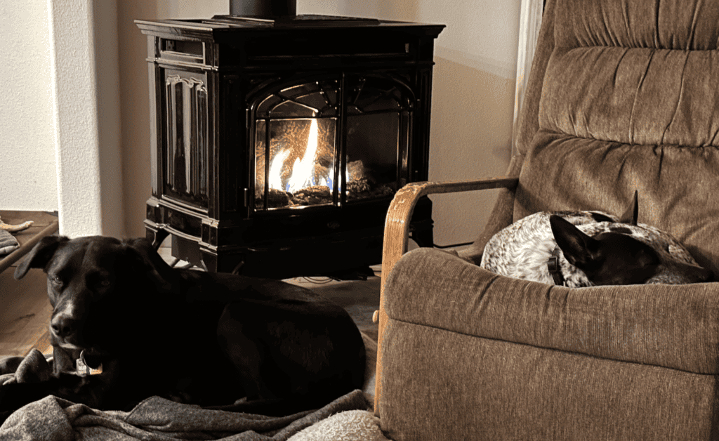 Blaze and Scout (dogs) sitting by the fire